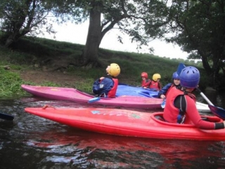  Observando la vida salvaje